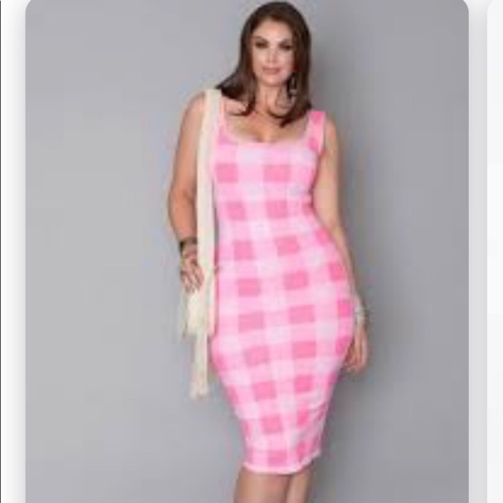 Rue 107 Nee York Plaid Pink Fitted Midi Dress 3X